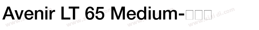 Avenir LT 65 Medium字体转换